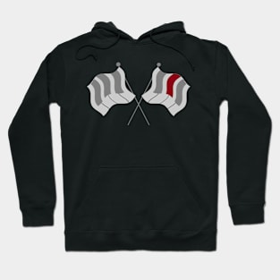 Piano Flag Hoodie